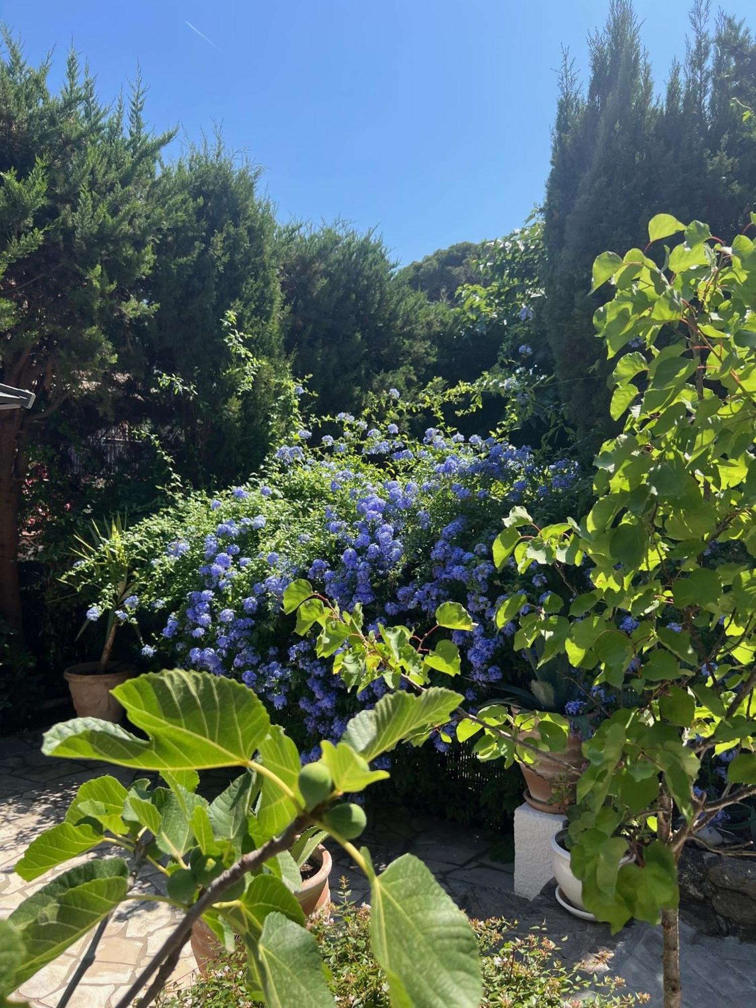 Superbe Appartement Avec Terrasse Jardin Et Parking Prive Saint-Tropez Exterior foto